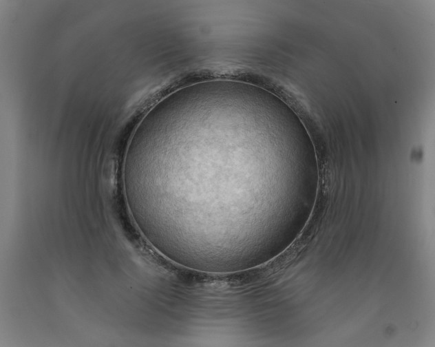 X0000091960740200709271346