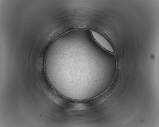 X0000091960741200709271346