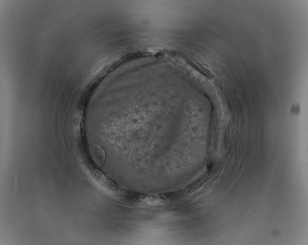 X0000091960742200709271346