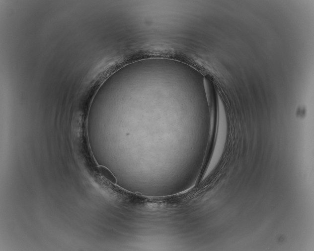 X0000091960744200709271346