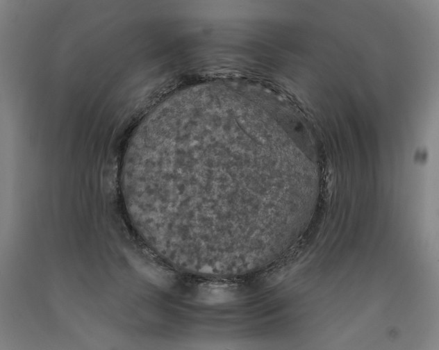 X0000091960745200709271346