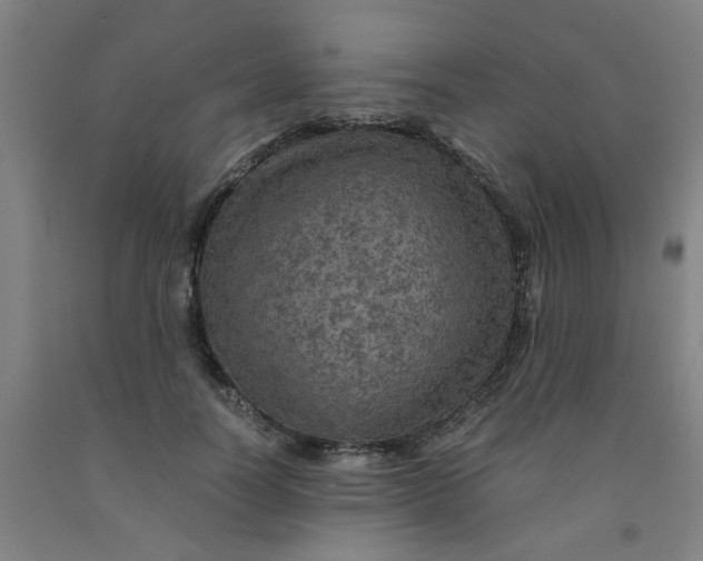 X0000091960746200709271346