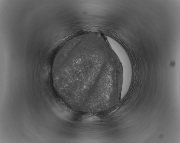 X0000091960747200709271346