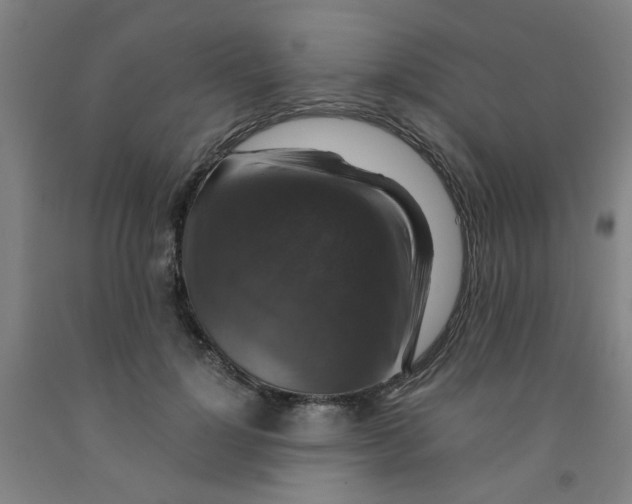 X0000091960748200709271346