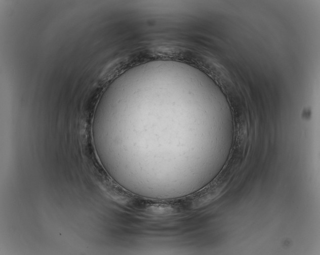 X0000091960749200709271346