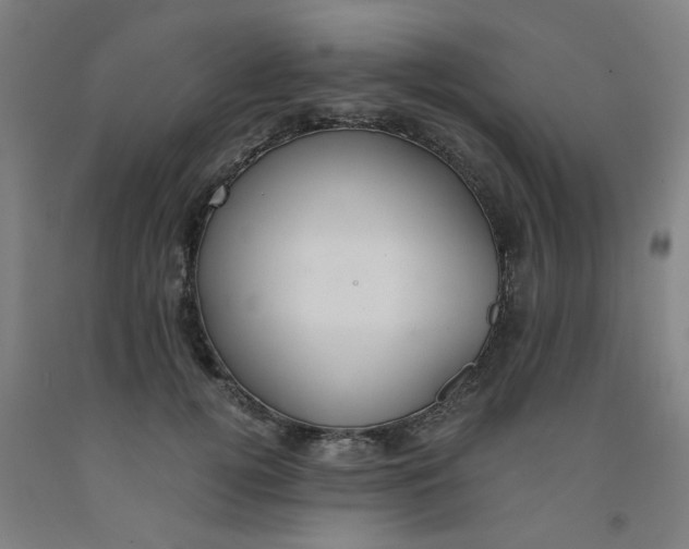 X0000091960752200709271346