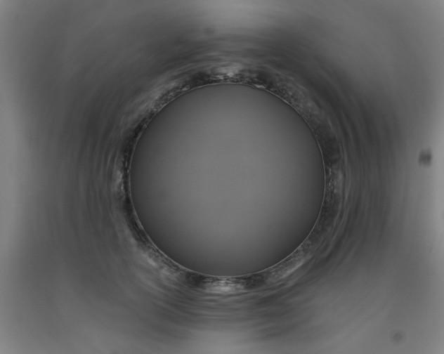 X0000091960754200709271346