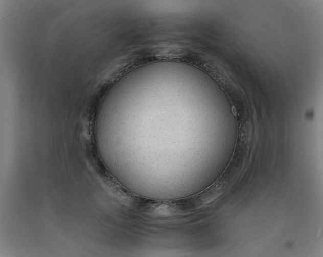 X0000091960755200709271346