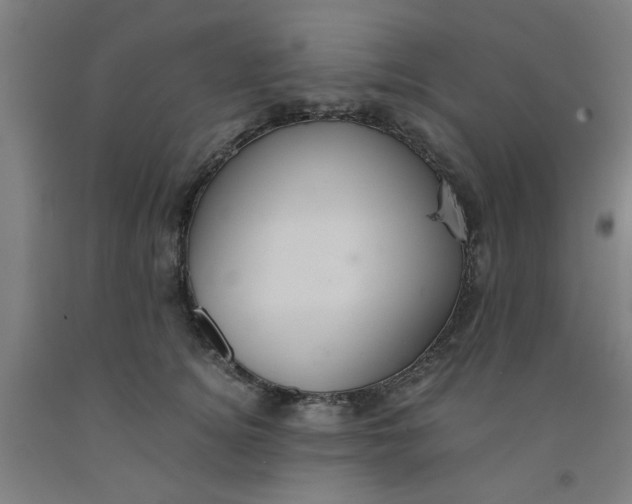 X0000091960756200709271346