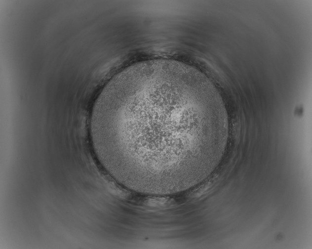 X0000091960757200709271346