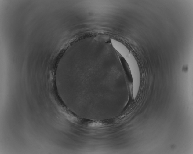 X0000091960759200709271346