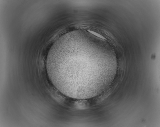 X0000091960761200709271346