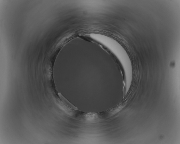 X0000091960762200709271346