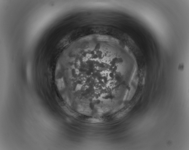 X0000091960765200709271346