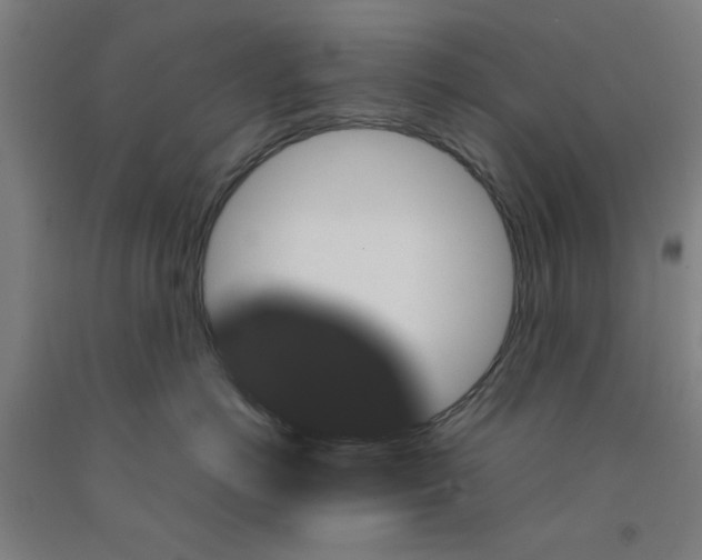 X0000091960766200709271346