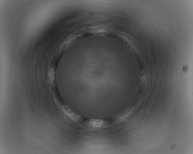 X0000091960767200709271346