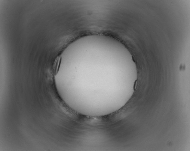 X0000091960768200709271346