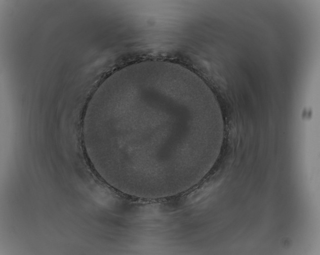 X0000091960769200709271345