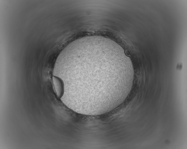 X0000091960770200709271345