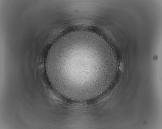 X0000091960771200709271345