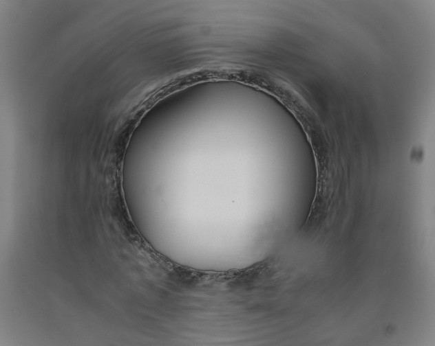 X0000091960773200709271345