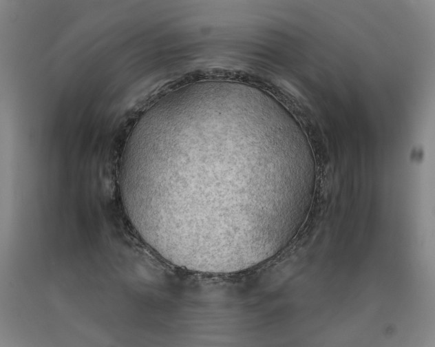 X0000091960774200709271345