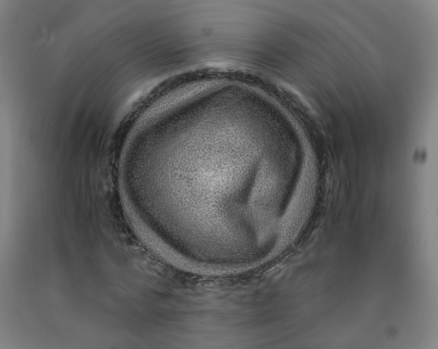 X0000091960776200709271345