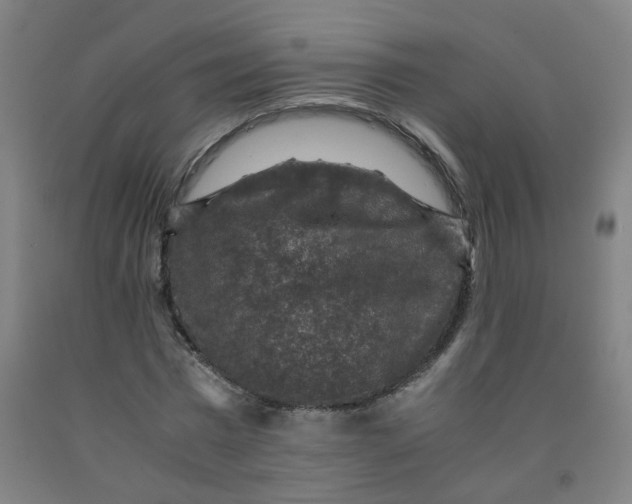 X0000091960777200709271345