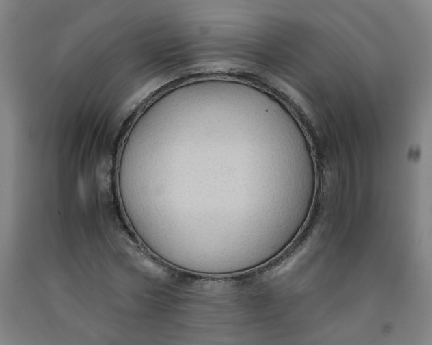 X0000091960778200709271345