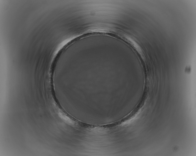 X0000091960779200709271345