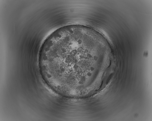 X0000091960780200709271345