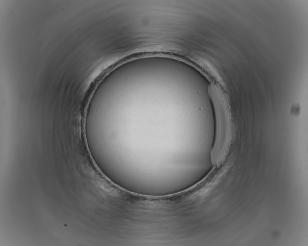 X0000091960781200709271345