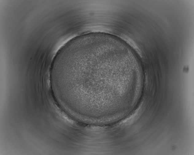 X0000091960782200709271345