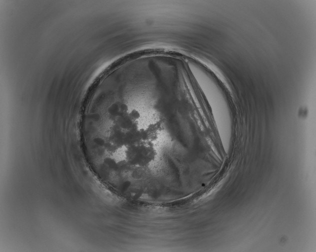 X0000091960783200709271345