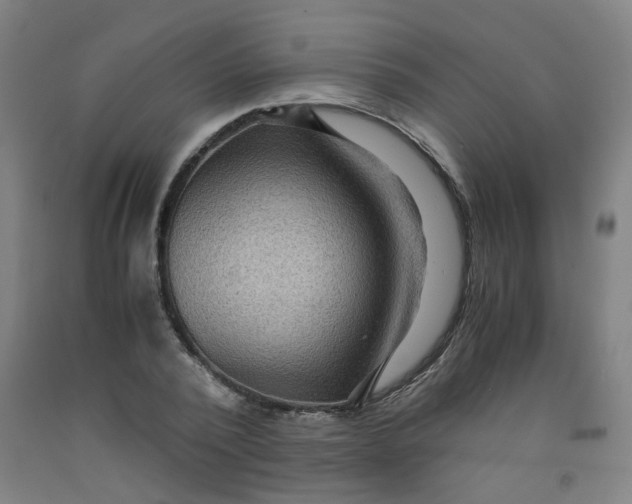 X0000091960784200709271345