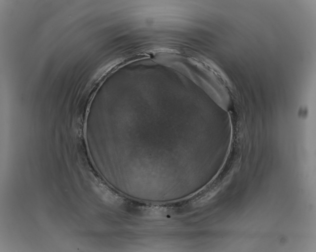 X0000091960785200709271345