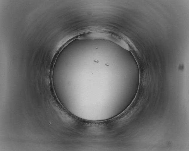 X0000091960786200709271345