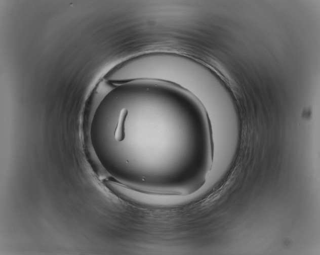 X0000091960788200709271345