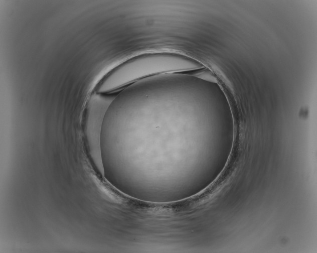 X0000091960789200709271345