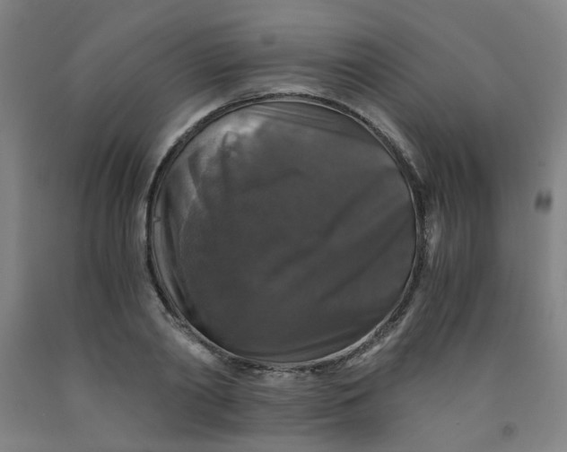 X0000091960790200709271345