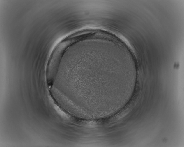 X0000091960791200709271345