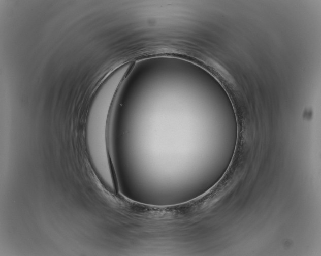 X0000091960793200709271345