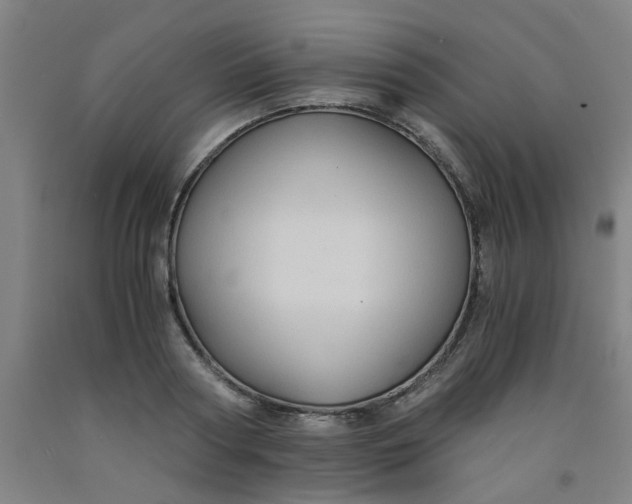 X0000091960794200709271345