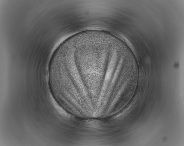 X0000091960795200709271345