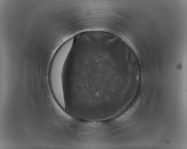 X0000091960797200709271345