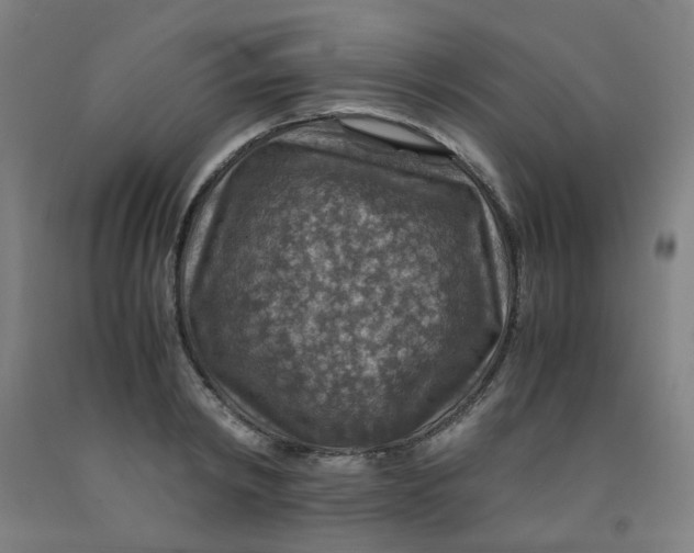 X0000091960798200709271345