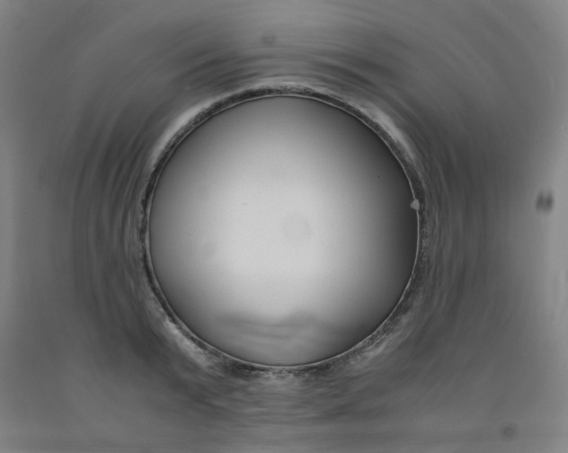 X0000091960799200709271345