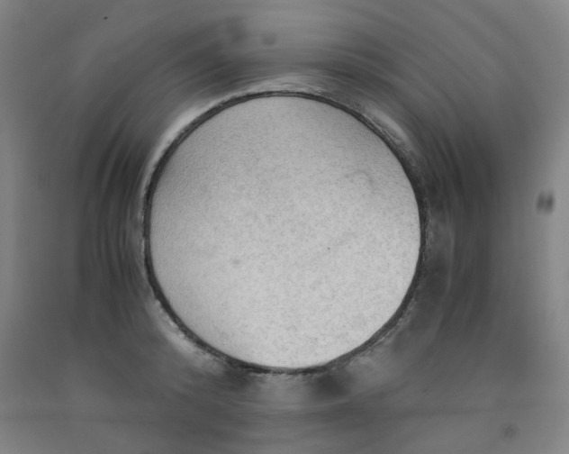 X0000091960800200709271345