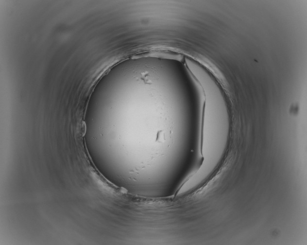 X0000091960801200709271345