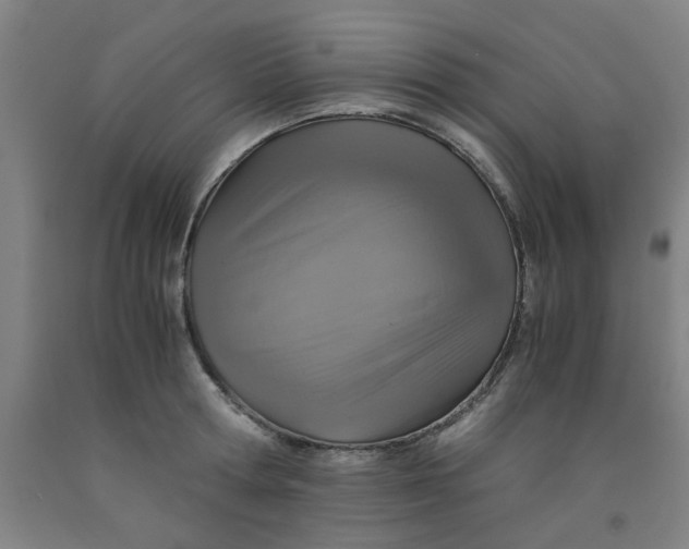 X0000091960802200709271345